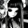 starforever50