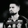 gwknz07_