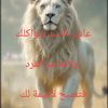 user20568136366632
