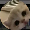 llijx74
