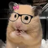 anya_editor6