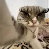 ellamaldonado