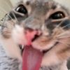 like.si.amas.a.je0