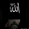 akhi.akhter825