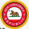 ncr7517