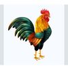 gallito5026