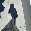 madison_67762.1