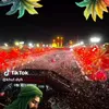 user5580386060346