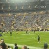 jack_fields12