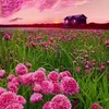 nh.hoang73