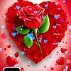 hadafow.abshir