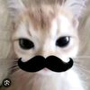 shakiraxanime_12