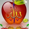 najeeb.ullah.khan553