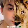 waseemxd2