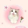 marialovescats67