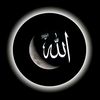 user513036463