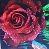 rosse.848
