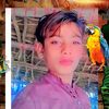 kewal.goil0