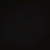 tirex_wader.890