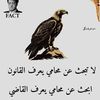 user4617761127810