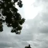 ngcquynhnhii