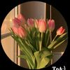 rafi.islam3848