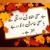shohaabudeen.ghori