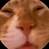 fatwadafak