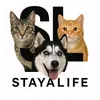 nashastaya.life