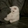 tiendat_0080