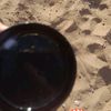 mrsvampire75