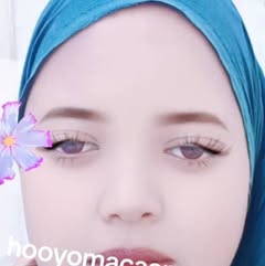 aniso.aadan20