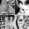 black.sherni.shahg