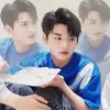 gemini.qna