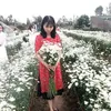 hthu8016
