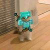 cat.witharmor