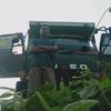 nur.rohim692