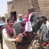 ramzanjarwar24