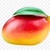 user497605201