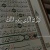 boqorada.kowsar