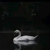 lula_7011