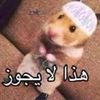 llllavfe6