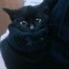 ilovekittysss4
