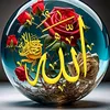 user9555779110268