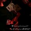 zainab78705