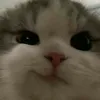 jasukeee_