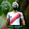 dragonmblm