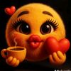 alizakh265gmail.c