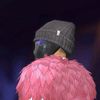 affiliate.tik.tok6
