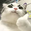 naw9044